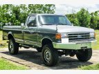 Thumbnail Photo 11 for 1989 Ford F250